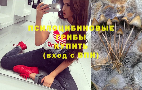 первитин Кинешма