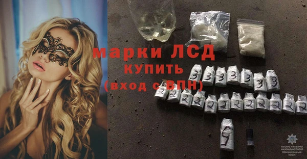 ПСИЛОЦИБИНОВЫЕ ГРИБЫ Карпинск