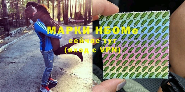 мдпв Киреевск