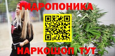 тгк Камышлов