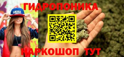 ПСИЛОЦИБИНОВЫЕ ГРИБЫ Кандалакша
