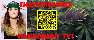 тгк Канаш