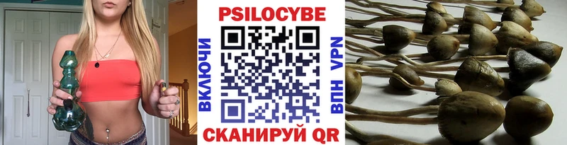 Галлюциногенные грибы мицелий  наркотики  Малгобек 