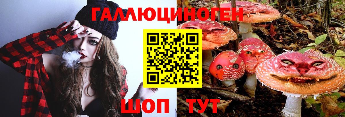 Галлюциногенные грибы Cubensis  Вход с VPN  Малгобек 
