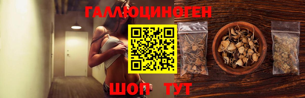 Галлюциногенные грибы GOLDEN TEACHER Малгобек